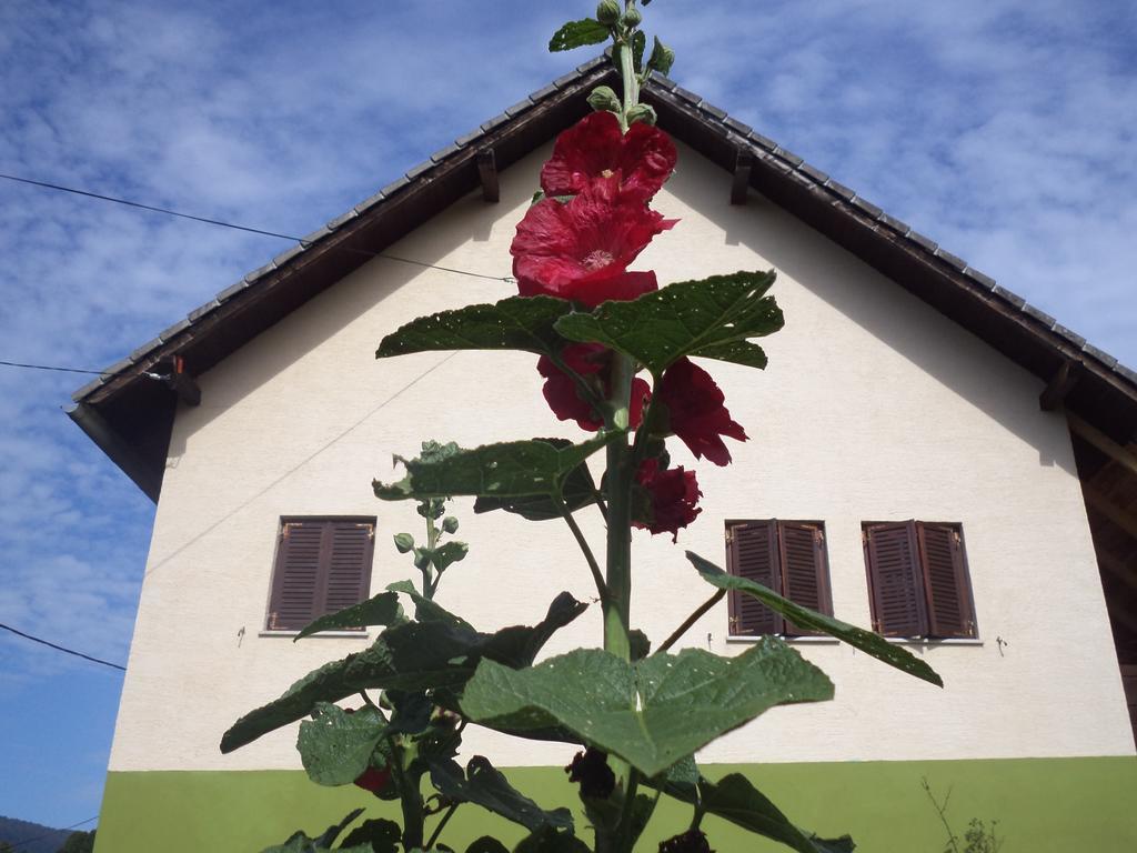 Guesthouse Loncar Плитвицкие озёра Экстерьер фото